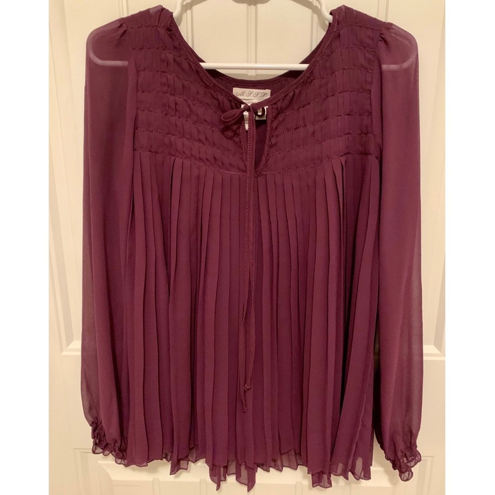 Sheer pleated blouse